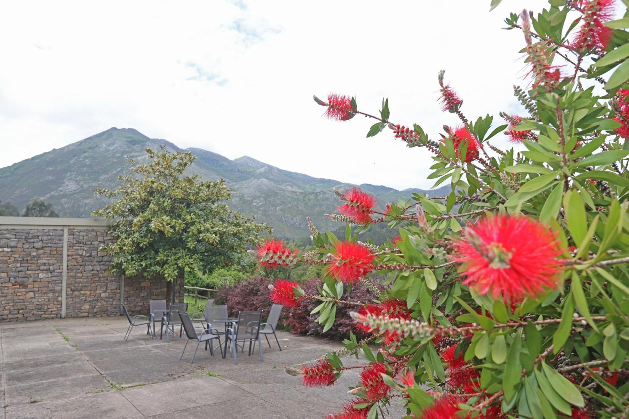 Hotel El Babu Caravia Buitenkant foto