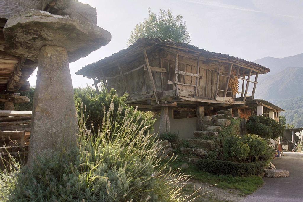 Hotel El Babu Caravia Buitenkant foto